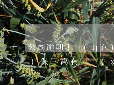 公司逾期3個(gè)月沒交社保醫(yī)保(三高有軍訓(xùn)嗎?)