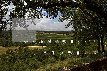 公司逾期付款經(jīng)辦人會(huì)受什么影響-公司逾期付款經(jīng)辦人會(huì)受什么影響呢