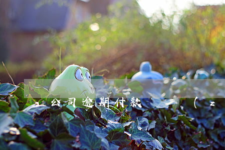 公司逾期付款違約責(zé)任
