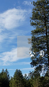 公司逾期律師-逾期律師事務(wù)所發(fā)律師函