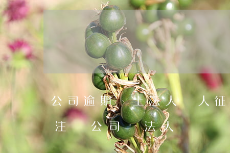 公司逾期會上法人個人征信嗎 征信有逾期能注冊公司當法人嗎