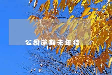 公司逾期未年检