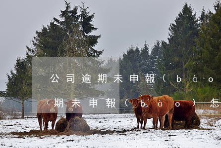 公司逾期未申報(bào)怎么回事(公司逾期未申報(bào)怎么回事)