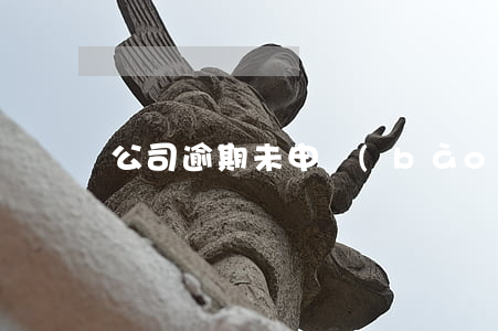 公司逾期未申報(bào)稅罰六百可以嗎