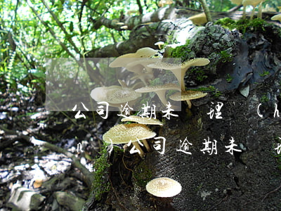 公司逾期未處理會(huì)出現(xiàn)(公司逾期未處理會(huì)出現(xiàn)什么問(wèn)題)