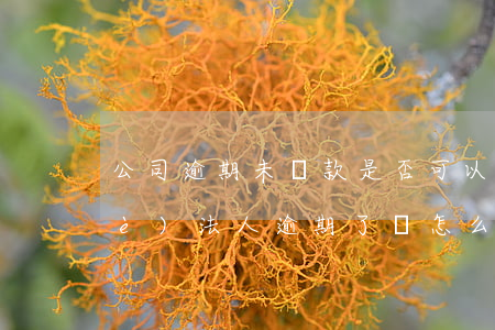 公司逾期未還款是否可以變更法人(企業(yè)法人逾期了會怎么辦)