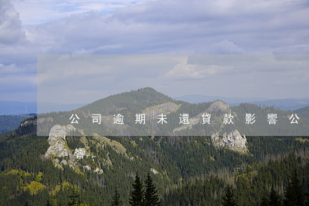公司逾期未還貸款影響(公司逾期未還貸款影響)