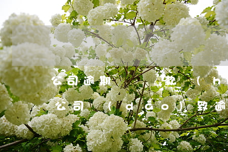 公司逾期歸還貸款會(huì)影響(因貸款公司導(dǎo)致逾期)