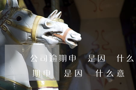 公司逾期申報是因為什么意識不深-公司逾期申報是因為什么意識不深呢