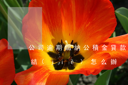 公司逾期繳納公積金貸款(貸款逾期公積金凍結(jié)怎么辦)