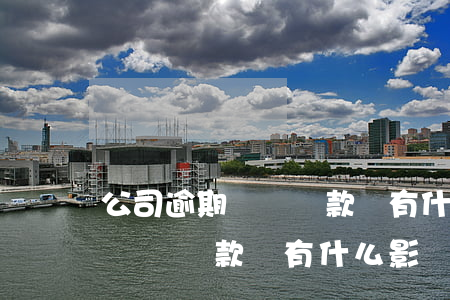 公司逾期繳納稅款會有什么影響-公司逾期繳納稅款會有什么影響嗎