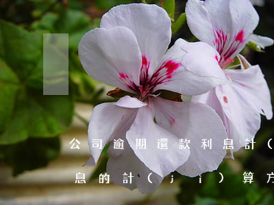 公司逾期還款利息計(jì)算(逾期還款利息的計(jì)算方式及法律依據(jù))