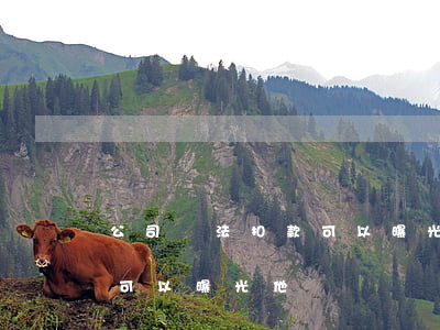 公司違法扣款可以曝光他們嗎(公司違法扣款可以曝光他們嗎)
