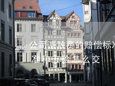 公司遣散费的赔偿标准(公司遣散费的赔偿标准和五险怎么交)