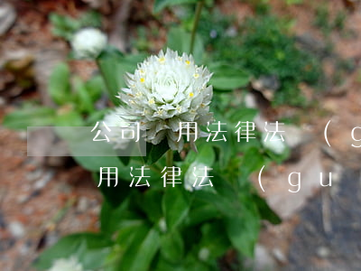 公司適用法律法規(guī)清單(最新適用法律法規(guī),標(biāo)準(zhǔn)清單有哪些)
