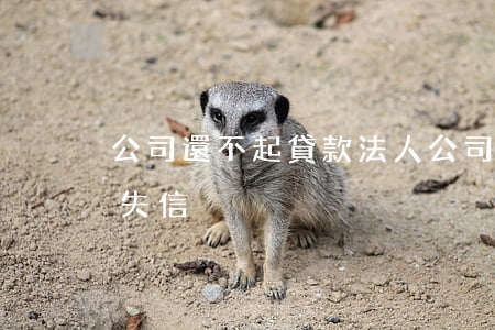 公司還不起貸款法人(公司貸款還不起法人會失信)