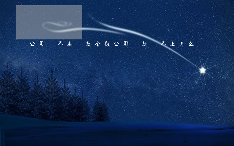 公司還不起貸款(金融公司貸款還不上怎么辦)
