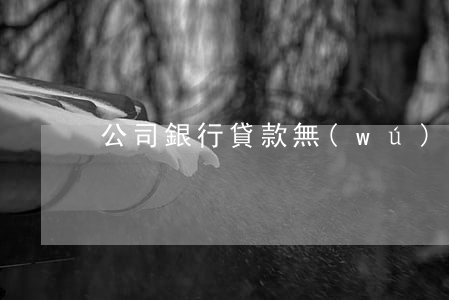 公司銀行貸款無(wú)力償還