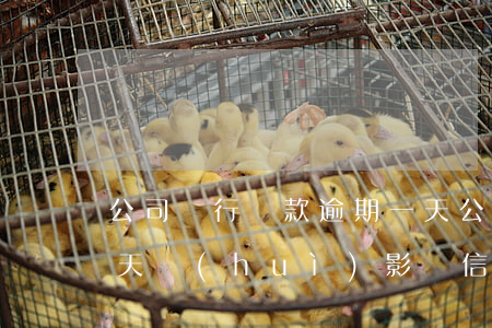 公司銀行貸款逾期一天(公司銀行貸款逾期一天會(huì)影響信用嗎)