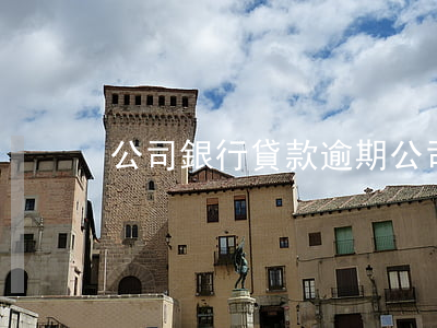 公司銀行貸款逾期(公司銀行貸款逾期一天)