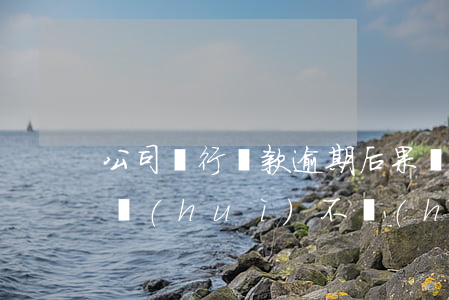 公司銀行貸款逾期后果(銀行貸款有逾期記錄會(huì)不會(huì)影響后期貸款申請(qǐng))