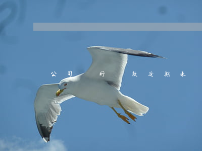 公司銀行貸款逾期未還(銀行貸款逾期無法償還)