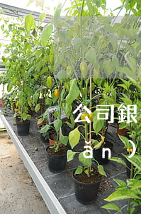 公司銀行貸款逾期風(fēng)險(xiǎn)-銀行貸款逾期風(fēng)險(xiǎn)報(bào)告