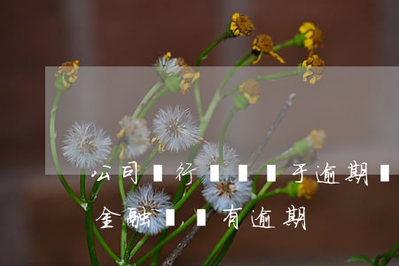 公司銀行賬戶處于逾期狀態(tài)(當前金融賬戶有逾期)