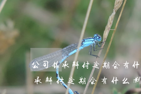 公司银承解付逾期会有什么影响么-公司银承解付逾期会有什么影响么
