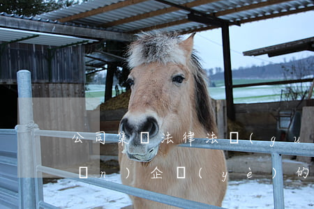 公司集團法律法規(guī)(有關(guān)企業(yè)的法律法規(guī)有哪些)
