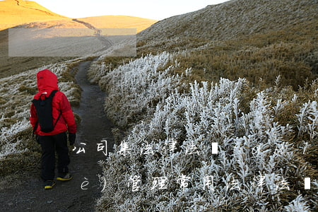 公司集法律法規(guī)清單(企業(yè)管理常用法律法規(guī)清單)