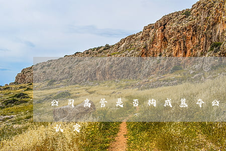 公司高管是否构成篡夺公司商业机会，应如何认定