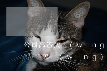 公司高管欠網(wǎng)貸不還(老板知道員工欠網(wǎng)貸)