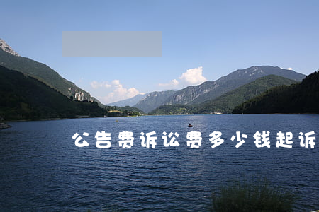 公告费诉讼费多少钱(起诉公告费需要多少钱)