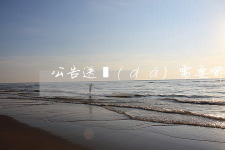 公告送達(dá)需要哪些材料