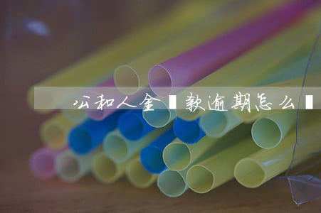 公和人金貸款逾期怎么辦