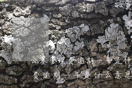 公墓管理费逾期一年是什么意思-公墓管理费逾期一年是什么意思啊