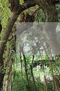 公婆借錢不還打算起訴(公婆借錢不還打算起訴怎么辦)