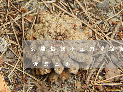 公婆借钱不还打算起诉(公婆借钱不还打算起诉怎么办)