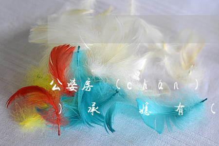 公婆房產(chǎn)兒媳有權(quán)繼承嗎(兒媳婦有權(quán)繼承婆婆的房產(chǎn)嗎?)