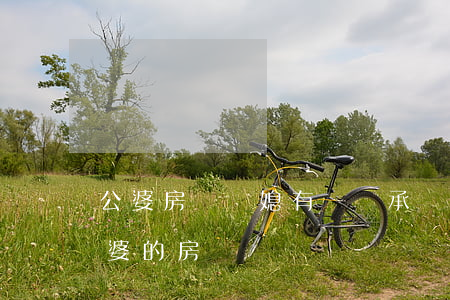 公婆房產兒媳有權繼承嗎(兒媳婦有權繼承婆婆的房產嗎?)