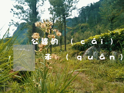 公婆的財(cái)產(chǎn)媳婦有繼承權(quán)嗎(兒媳有繼承公婆財(cái)產(chǎn)的權(quán)利嗎)