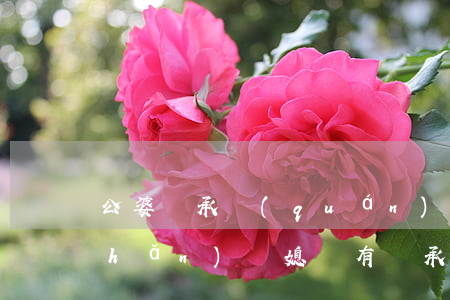 公婆繼承權(quán)嗎(婆婆的房產(chǎn)兒媳婦有繼承權(quán)嗎?)