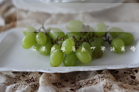 公婆跑娘屋去吵架该离婚吗