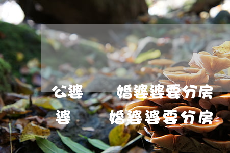公婆鬧離婚婆婆要分房產(chǎn)嗎(公婆鬧離婚婆婆要分房產(chǎn)嗎)