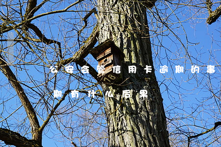 公安会管信用卡逾期的事吗(银行卡信用卡逾期有什么后果)