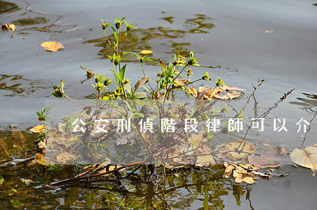 公安刑偵階段律師可以介入嗎