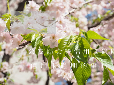公安局会管信用卡逾期的事吗-公安局会管信用卡逾期的事吗