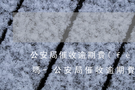 公安局催收逾期費(fèi)太高可以商量嗎-公安局催收逾期費(fèi)太高可以商量嗎怎么辦