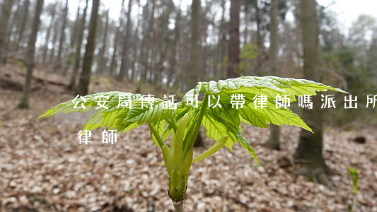 公安局傳話可以帶律師嗎(派出所傳喚可以帶律師)